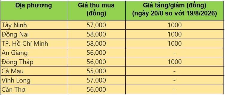 Bảng giá heo hơi tại miền Nam hôm nay 20/8/2026