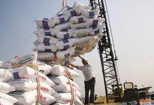 Xuất khẩu phân bón sụt giảm: Doanh nghiệp Việt trước biến động toàn cầu
