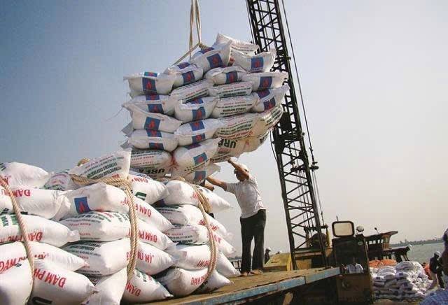 Hoạt động bốc xếp phân bón xuất khẩu tại cảng