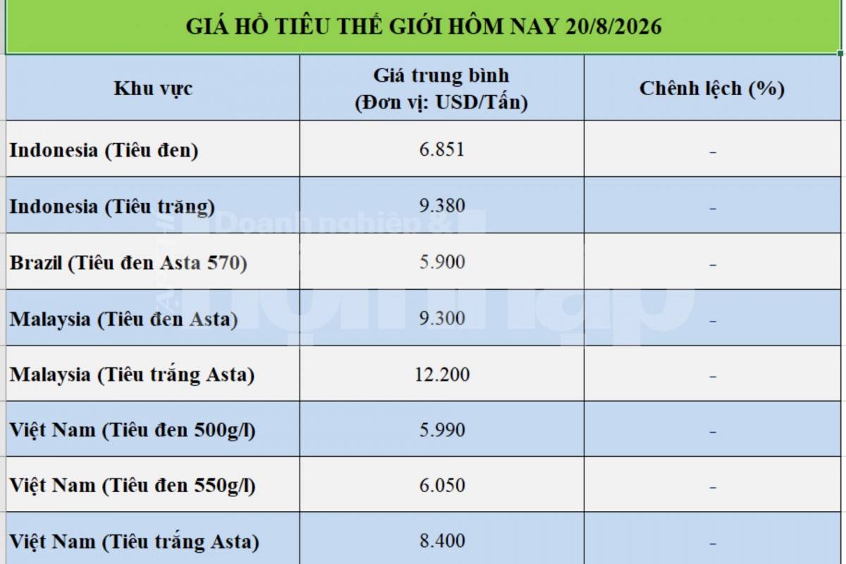 Giá tiêu hôm nay 20/8/2026: