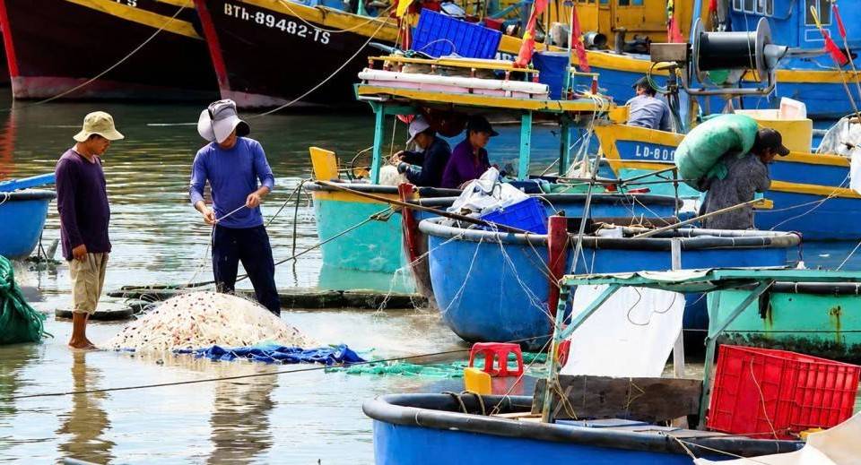 Lâm Đồng hỗ trợ đến 250 triệu đồng cho ngư dân giải bản tàu cá