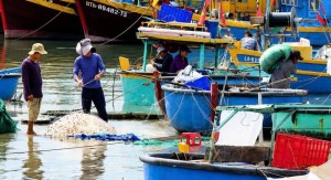 Lâm Đồng hỗ trợ đến 250 triệu đồng cho ngư dân giải bản tàu cá