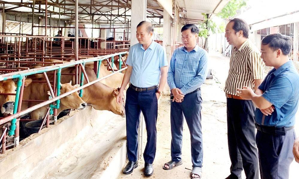 Bắc Ninh: Hơn 6,6 tỷ đồng và bài toán nâng cao chất lượng hoạt động hợp tác xã