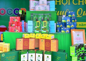 Tuyên Quang: Kinh tế tập thể tạo giá trị từ sức mạnh liên kết