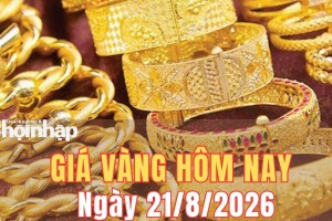 Giá vàng hôm nay 21/8/2026: Vàng SJC và vàng nhẫn tăng "phi mã" đến 3,3 triệu đồng/lượng