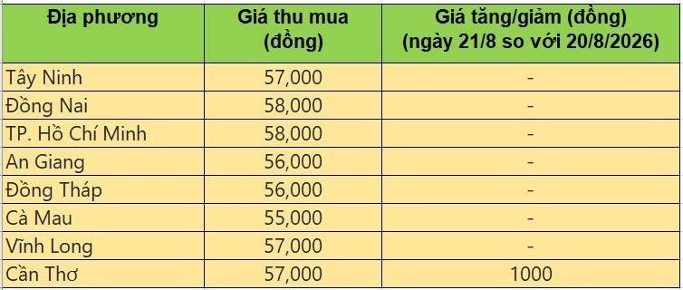 Bảng giá heo hơi tại miền Nam hôm nay 21/8/2026