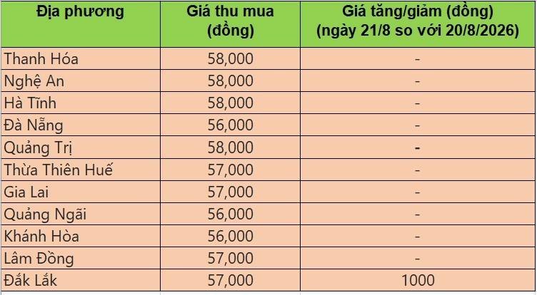 Bảng giá heo hơi tại miền Trung - Tây Nguyên hôm nay 21/8/2026