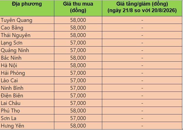 Bảng giá heo hơi tại miền Bắc hôm nay 21/8/2026