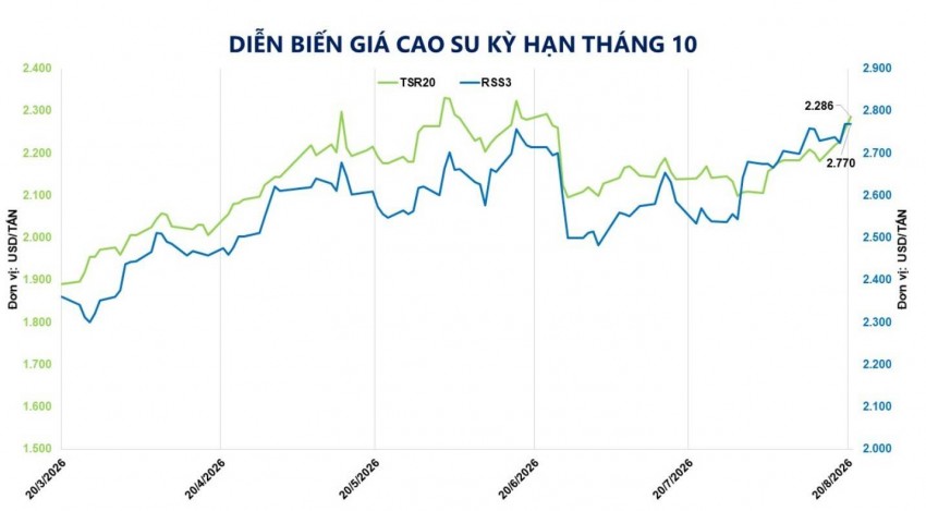Giá cao su TSR20 neo đỉnh 9 năm do lo ngại thắt chặt nguồn cung