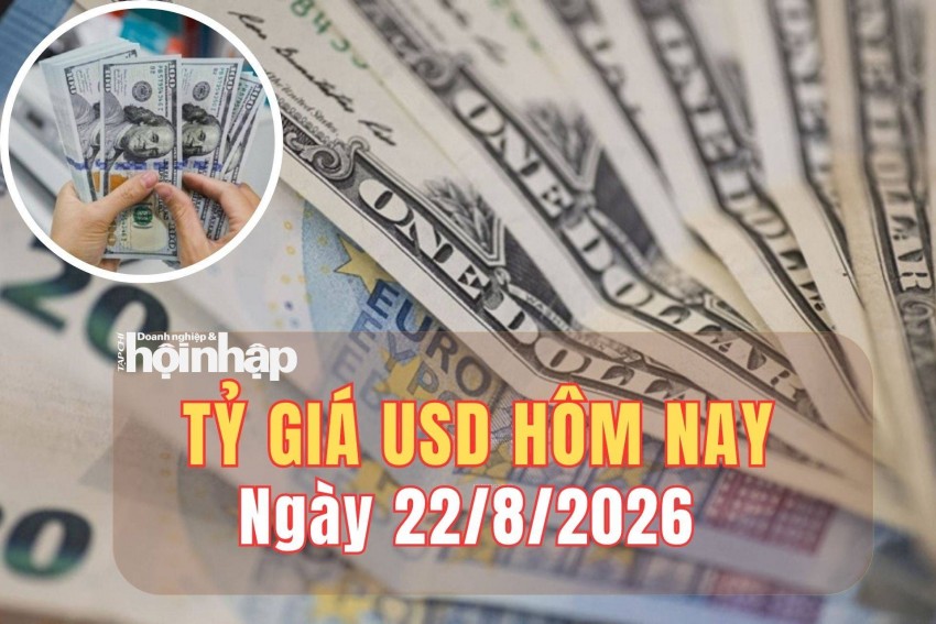 Tỷ giá USD hôm nay 22/8/2026: Đồng USD thế giới giảm xuống đáy 3 tháng