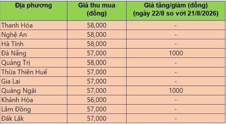 Bảng giá heo hơi tại miền Trung - Tây Nguyên hôm nay 22/8/2026