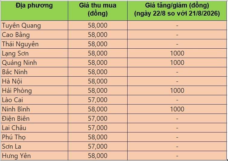 Bảng giá heo hơi tại miền Bắc hôm nay 22/8/2026
