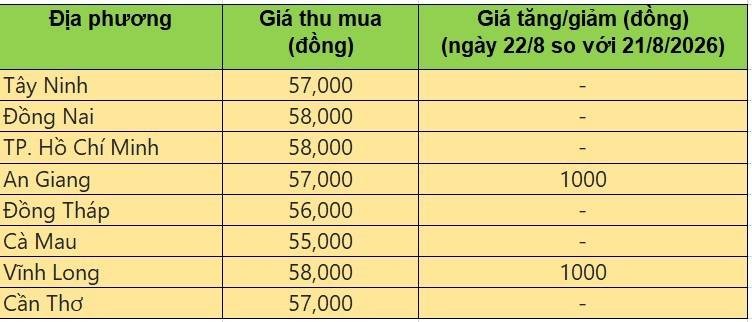 Bảng giá heo hơi tại miền Nam hôm nay 22/8/2026