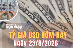 Tỷ giá USD hôm nay 23/8/2026: Đồng USD chịu áp lực giảm