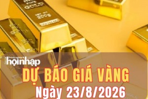 Dự báo giá vàng ngày mai 23/8: Nối dài sóng tăng, vàng trong nước tiến sát mốc mới