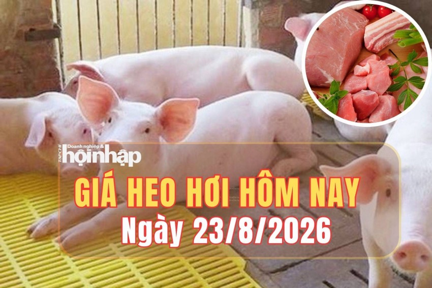giá heo hơi