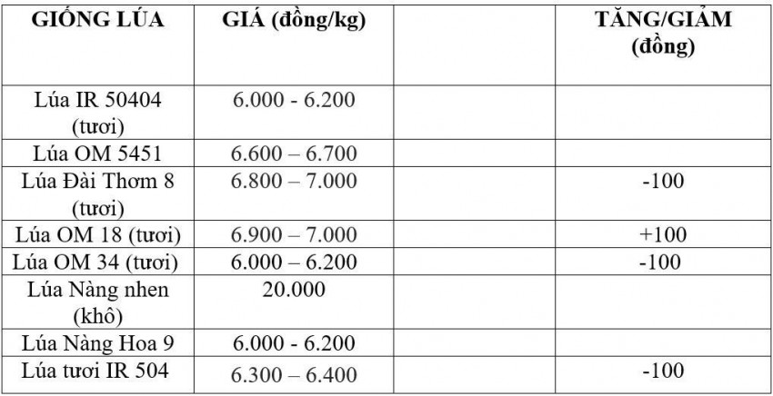 giá lúa gạo