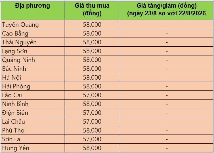 giá heo hơi