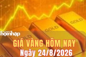 Giá vàng hôm nay 24/8/2026: Vàng trong nước đi ngang, thế giới duy trì vững chắc trên mốc 4.600