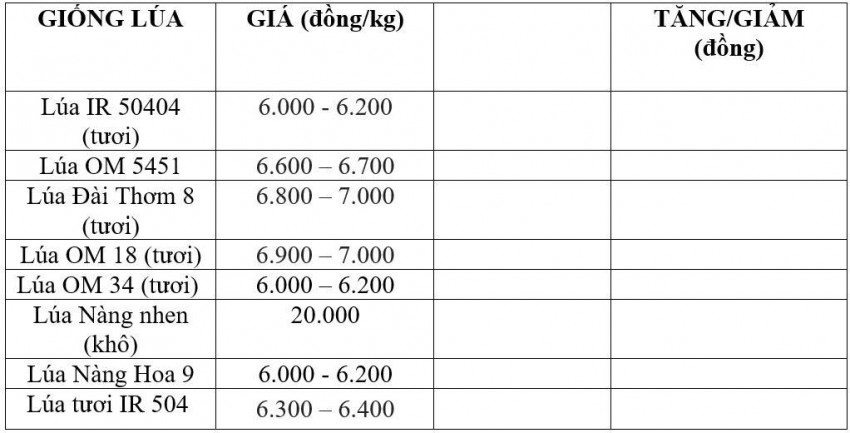 Bảng giá lúa hôm nay 24/8/2026