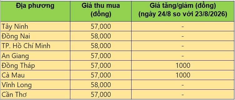 Bảng giá heo hơi tại miền Nam hôm nay 24/8/2026