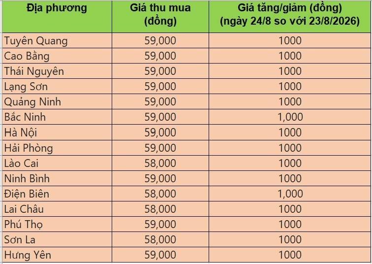 Bảng giá heo hơi tại miền Bắc hôm nay 24/8/2026