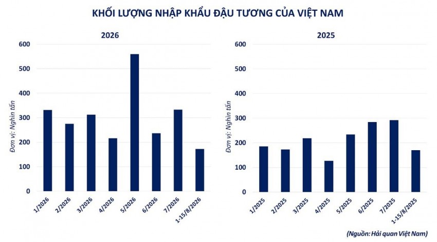 Sức mua từ Trung Quốc và nỗi lo mùa vụ tại Mỹ 