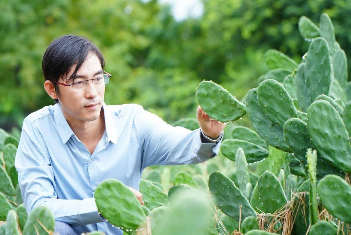 ông Trần Văn Vũ, Chủ tịch HĐQT Công ty CP Organic Nopal Việt Nam