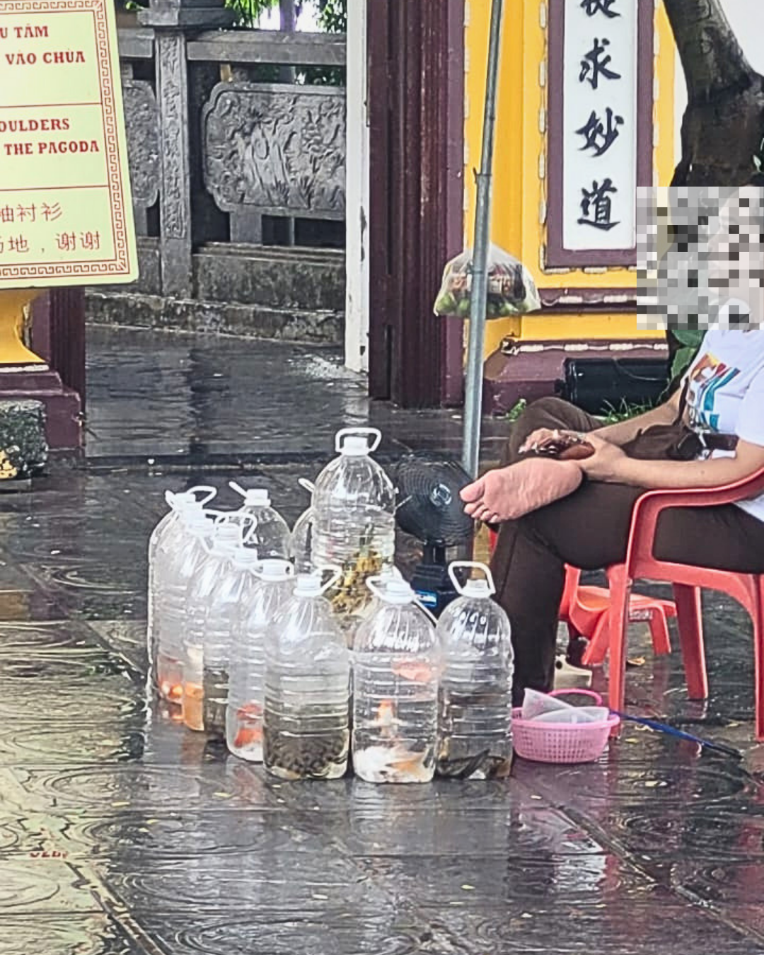 Rùa được bày bán trước cổng chùa 