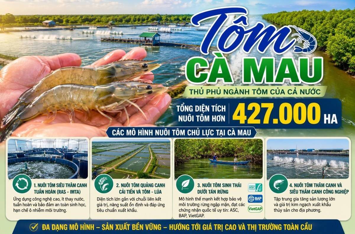 Cà Mau đẩy mạnh chế biến sâu, mở rộng thị trường tôm