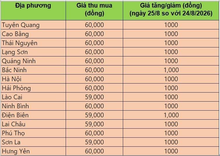 giá heo hơi