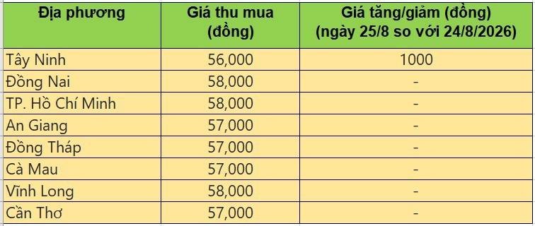 giá heo hơi