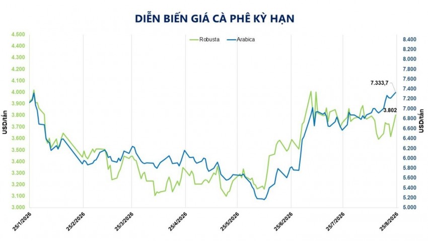 Giá cà phê bật tăng trước rủi ro thời tiết và nguồn cung suy giảm