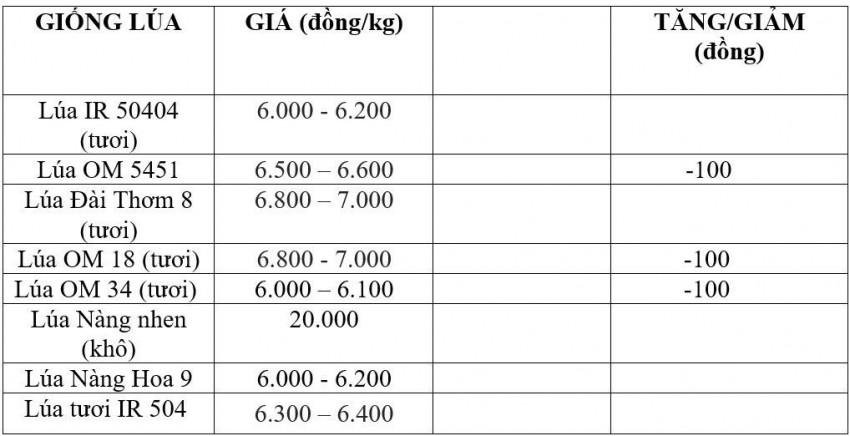 Bảng giá lúa hôm nay 26/8/2026