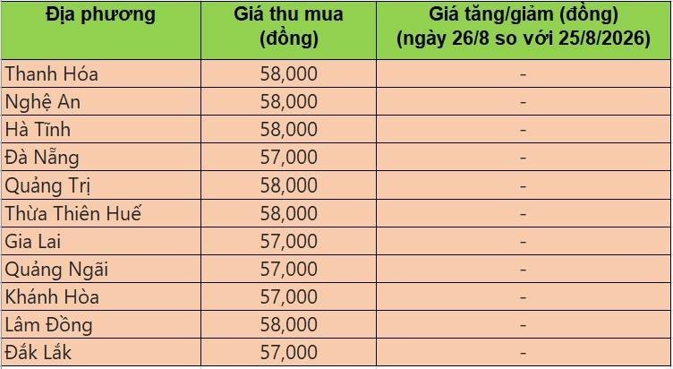 Bảng giá heo hơi tại miền Trung - Tây Nguyên hôm nay 26/8/2026