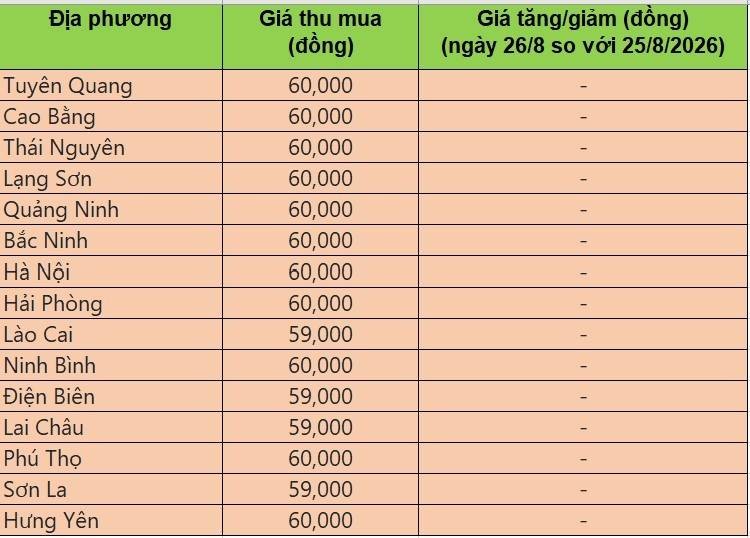 Bảng giá heo hơi tại miền Bắc hôm nay 26/8/2026