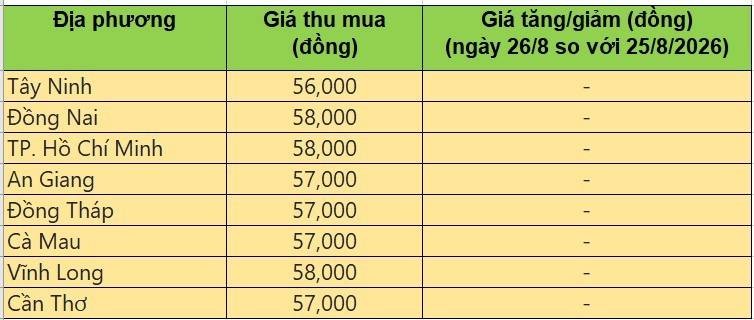 Bảng giá heo hơi tại miền Nam hôm nay 26/8/2026