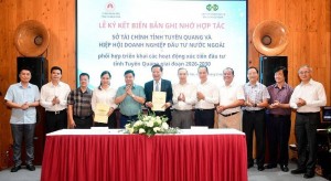Tuyên Quang mở kênh kết nối VAFIE, hướng tới dòng vốn FDI chất lượng cao