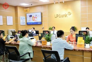 Tuyên Quang: Huy động vốn tăng 20,7% và bài toán đưa vốn vào sản xuất, kinh doanh