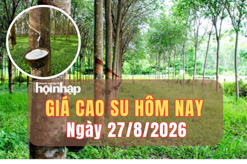Giá cao su hôm nay 27/8/2026: Giá cao su sàn TOCOM sụt giảm, trong khi SHFE bật tăng
