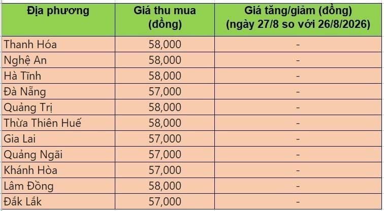 Bảng giá heo hơi tại miền Trung - Tây Nguyên hôm nay 27/8/2026