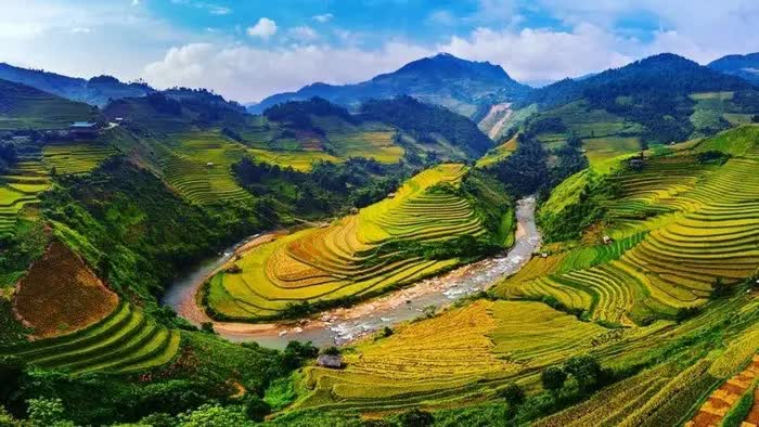 Thung lũng Mường Hoa Sapa (Ảnh: Sưu tầm)