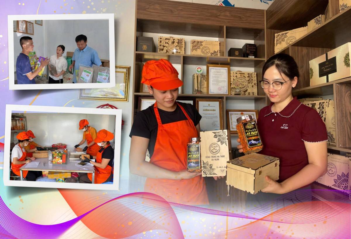 Khuyến công tiếp sức công nghiệp nông thôn Lai Châu