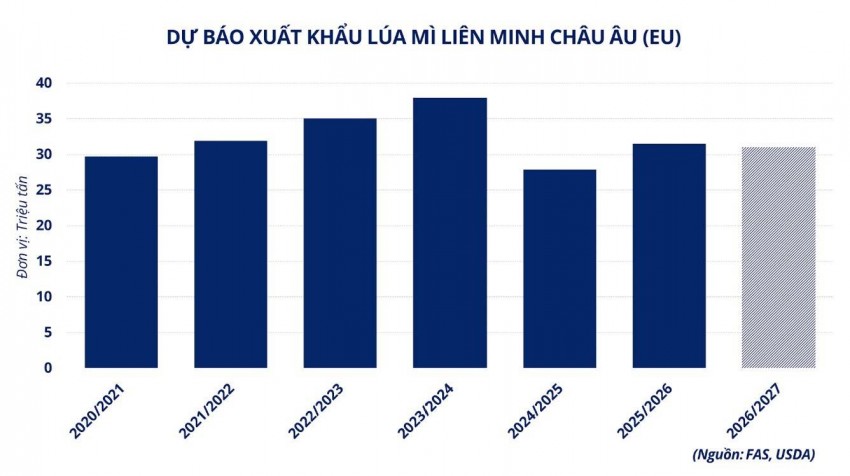 Căng thẳng Biển Đen đẩy giá lúa mì tăng mạnh, doanh nghiệp Việt chịu áp lực chi phí