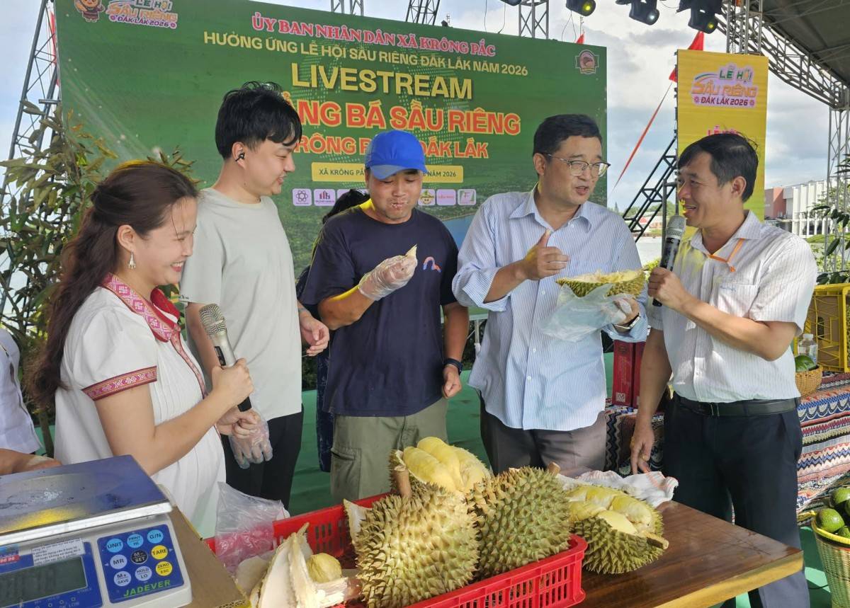 Du lịch Đắk Lắk: Tăng sức hút với lễ hội sầu riêng