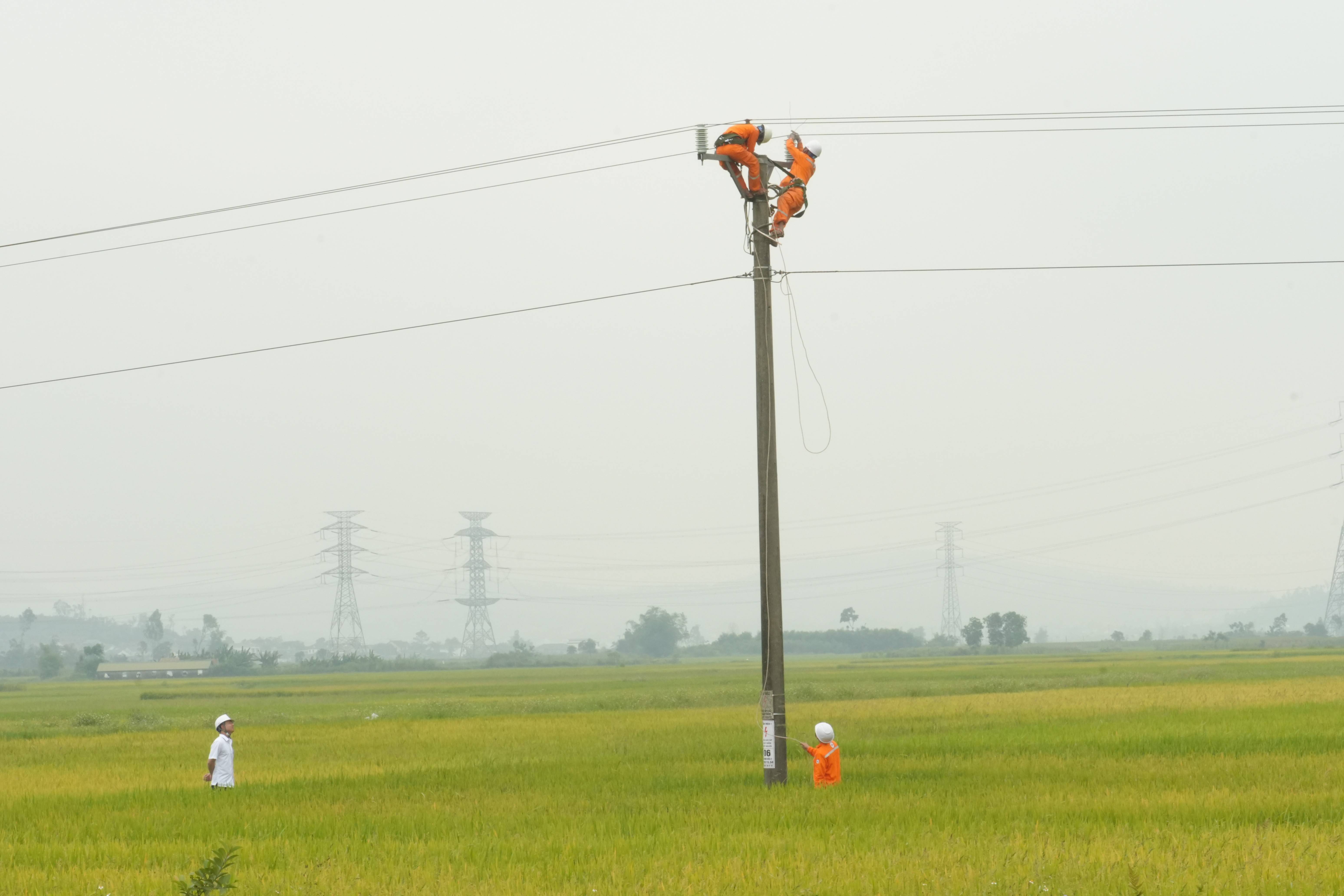 Công ty Điện lực Nghệ An xử lý khiếm khuyết, cải tạo, nâng cấp lưới điện,  nâng cao độ tin cậy cung cấp điện phục vụ người dân