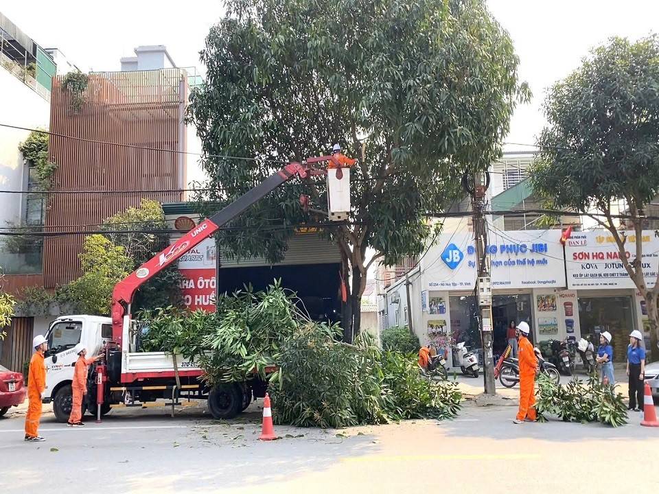 Công ty Điện lực Nghệ An tăng cường phát quang hành lang an toàn lưới điện, góp phần bảo đảm lưới điện vận hành an toàn, liên tục phục vụ nhân dân đón lễ Quốc khánh 2/9