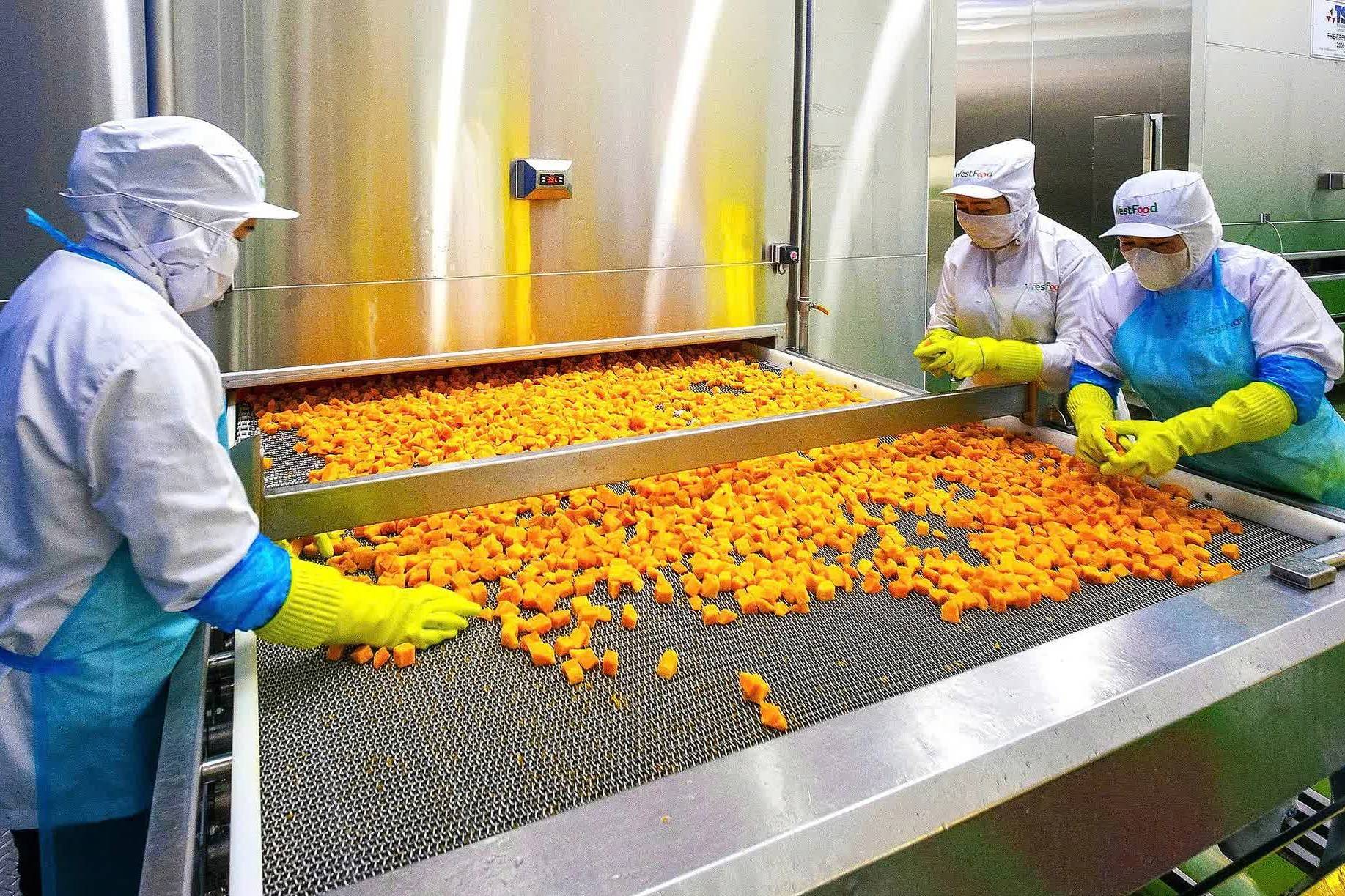 Hiệp hội Rau quả Việt Nam kiến nghị gỡ vướng thuế GTGT, hóa đơn điện tử