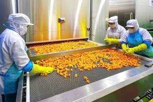Hiệp hội Rau quả Việt Nam kiến nghị gỡ vướng thuế GTGT, hóa đơn điện tử