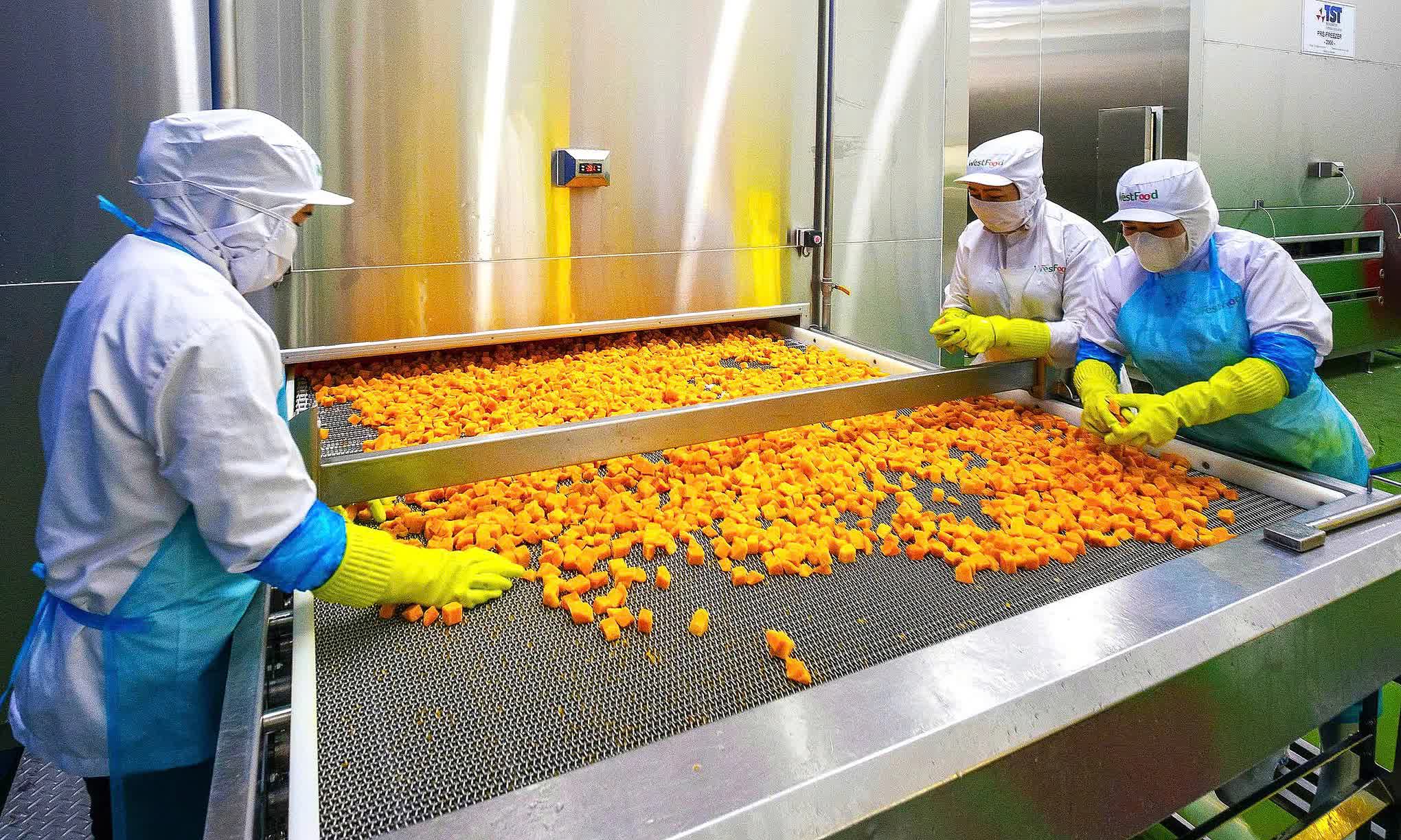 Hiệp hội Rau quả Việt Nam kiến nghị gỡ vướng thuế GTGT, hóa đơn điện tử